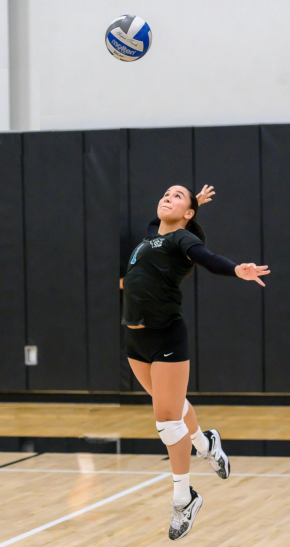 Volleyball Team Wins Home Finale