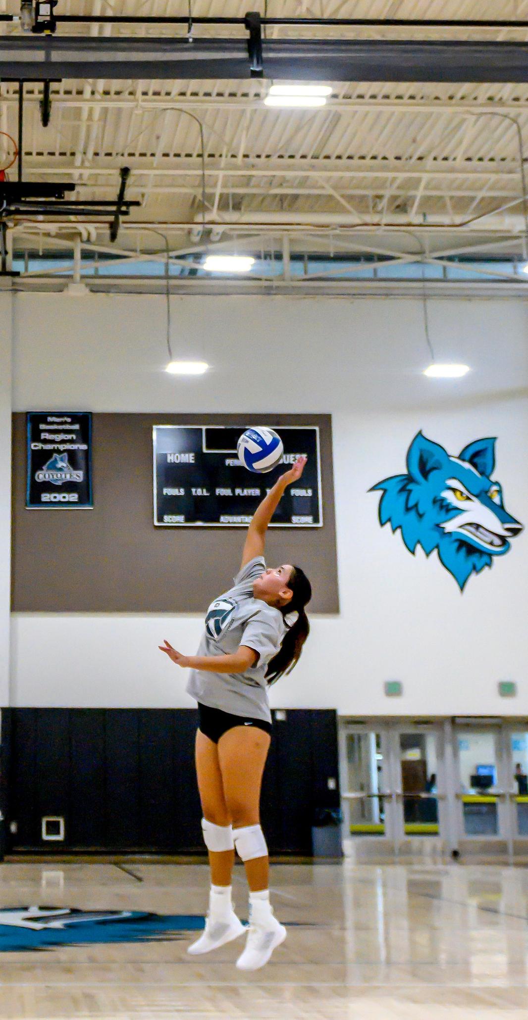 Coyote Volleyball Pummels Pima